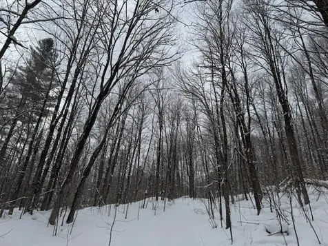 917 Eligo Lake Road Greensboro VT 05841