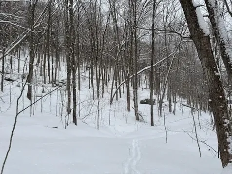 917 Eligo Lake Road Greensboro VT 05841