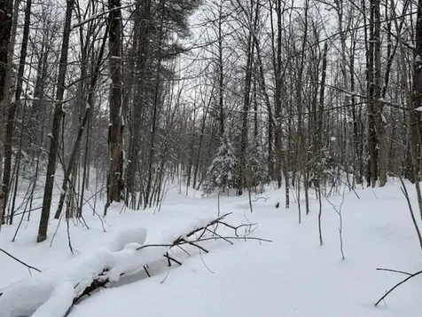 917 Eligo Lake Road Greensboro VT 05841