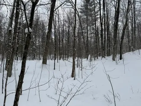 917 Eligo Lake Road Greensboro VT 05841