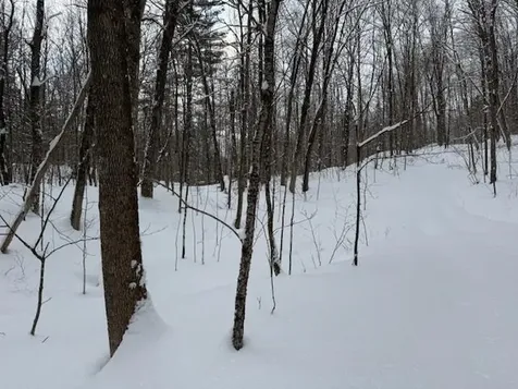 917 Eligo Lake Road Greensboro VT 05841