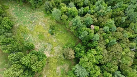 00 Hill Top Road Andover VT 05143