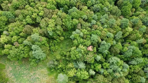 00 Hill Top Road Andover VT 05143