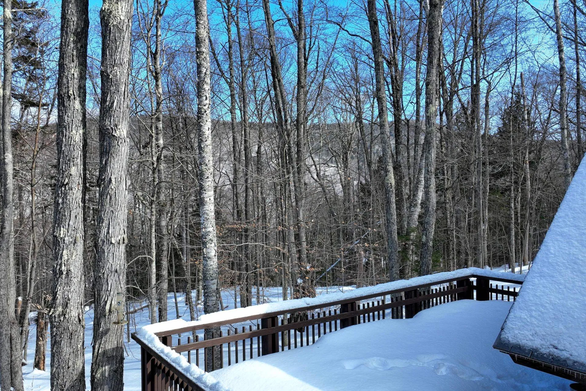 311 Hawk Spur Road Plymouth VT 05056