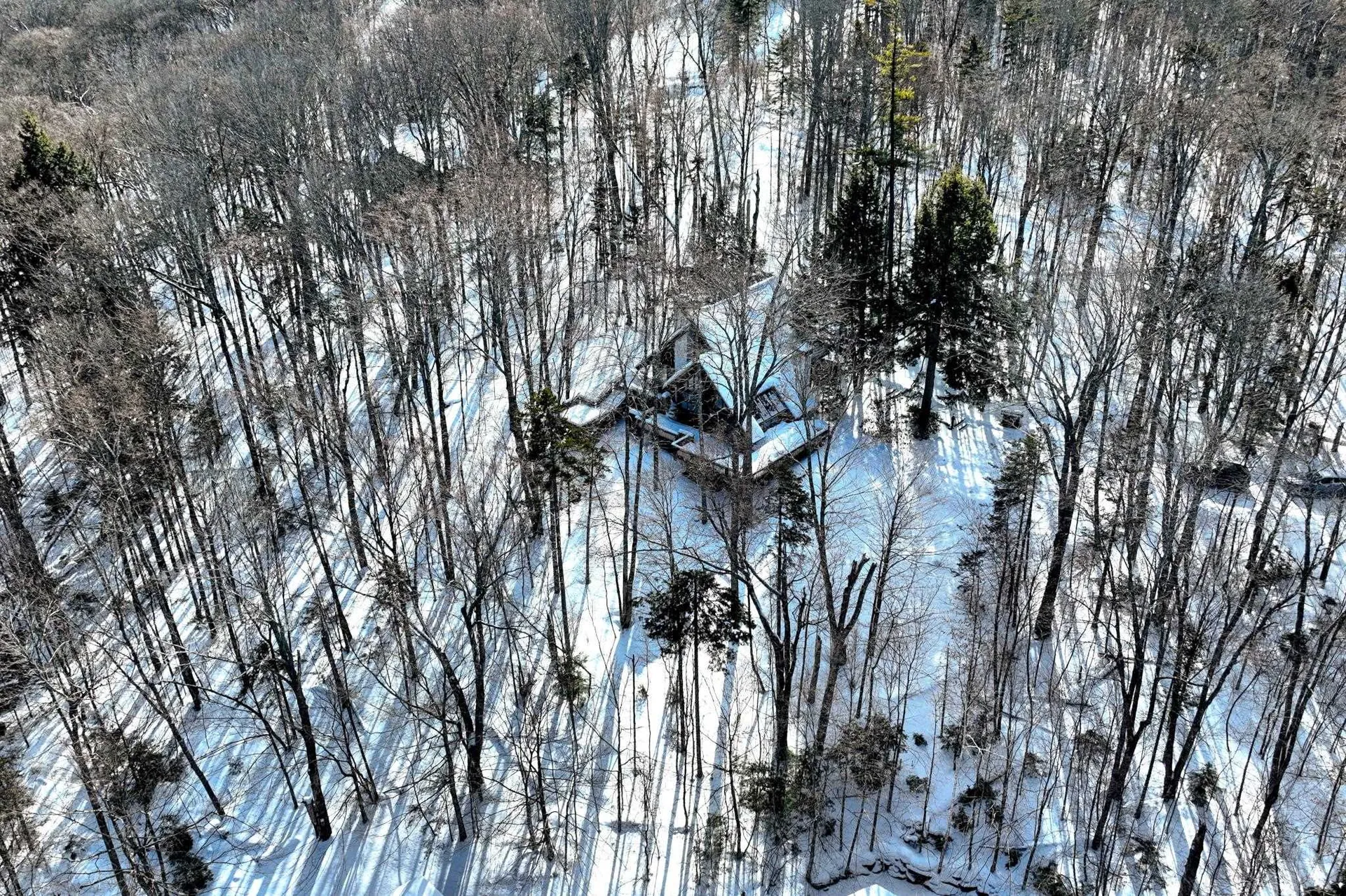 311 Hawk Spur Road Plymouth VT 05056