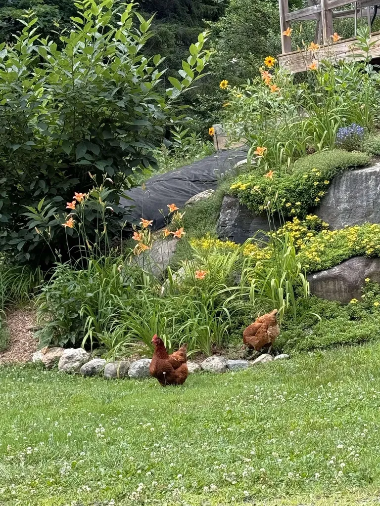 292 Deer Run Lane Waitsfield VT 05673