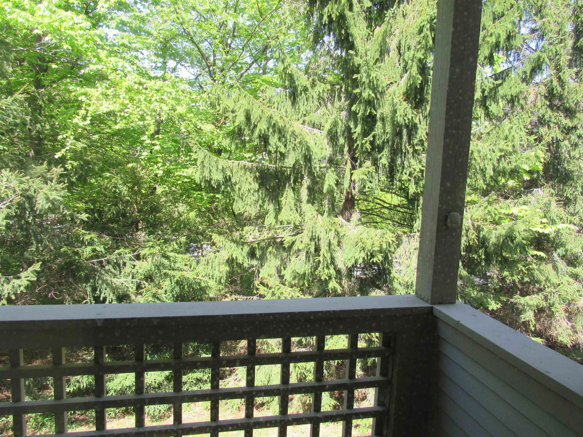 49 High Point Drive Stratton VT 05155