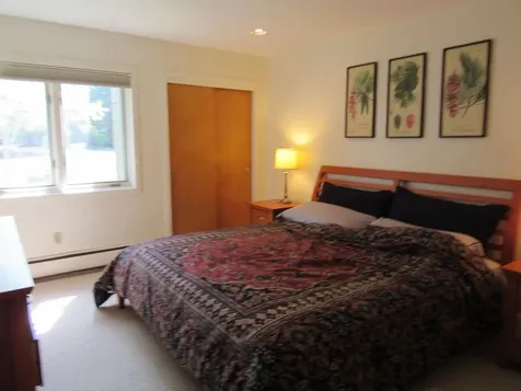 49 High Point Drive Stratton VT 05155