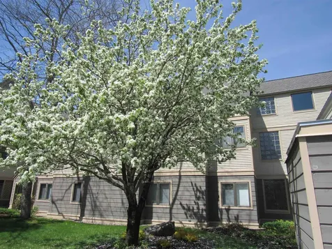 49 High Point Drive Stratton VT 05155