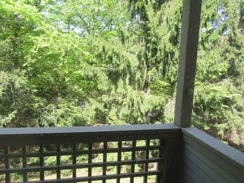 49 High Point Drive Stratton VT 05155