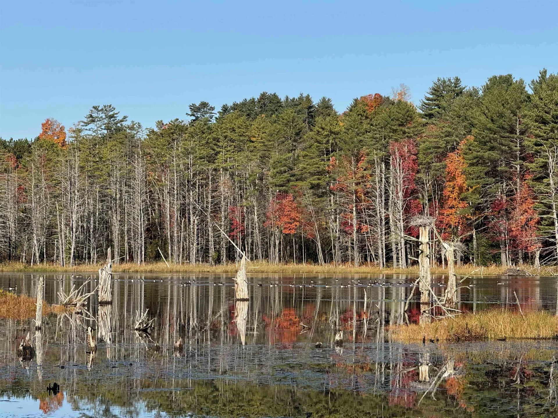 555 Shaker Road Sutton NH 03260