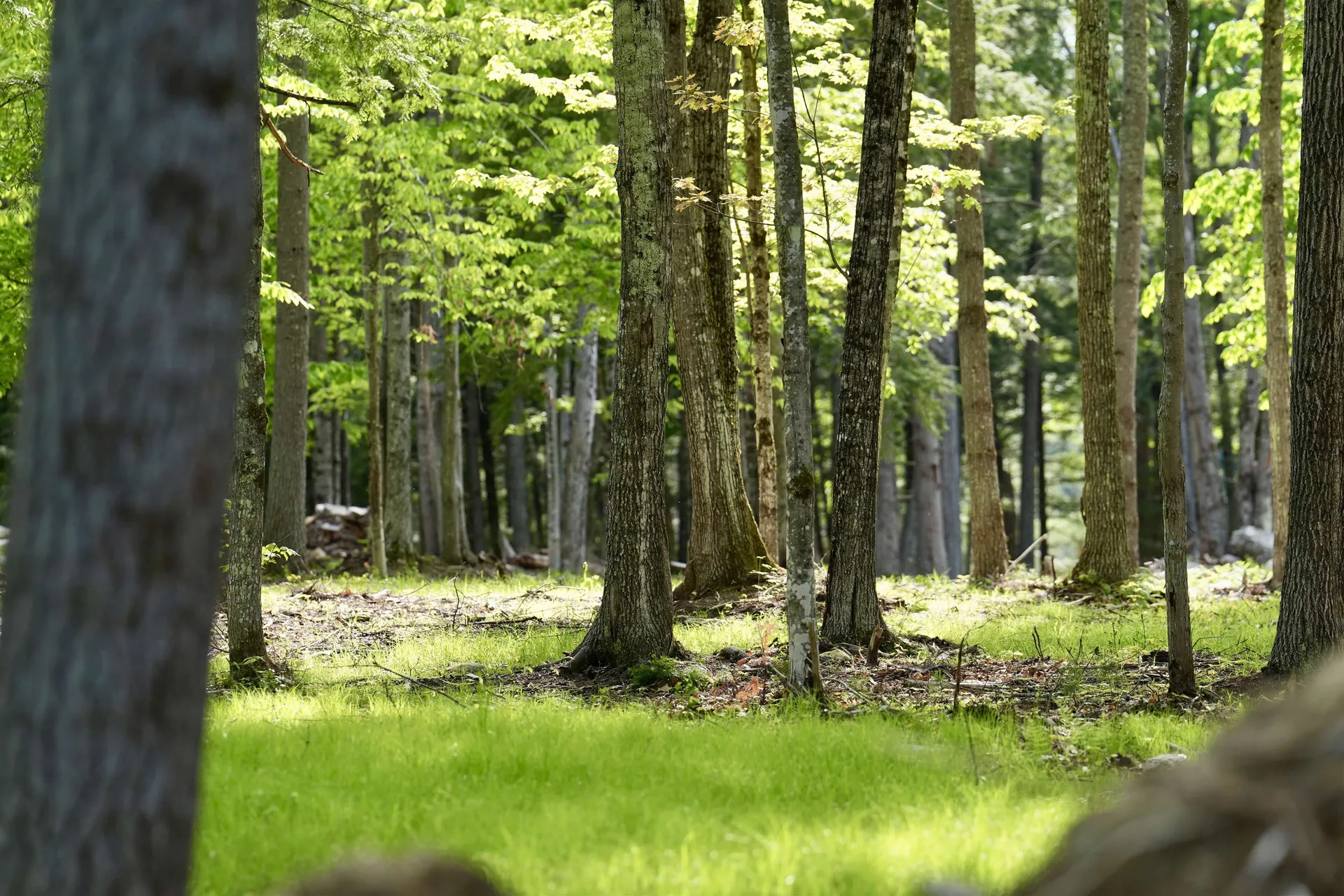 555 Shaker Road Sutton NH 03260