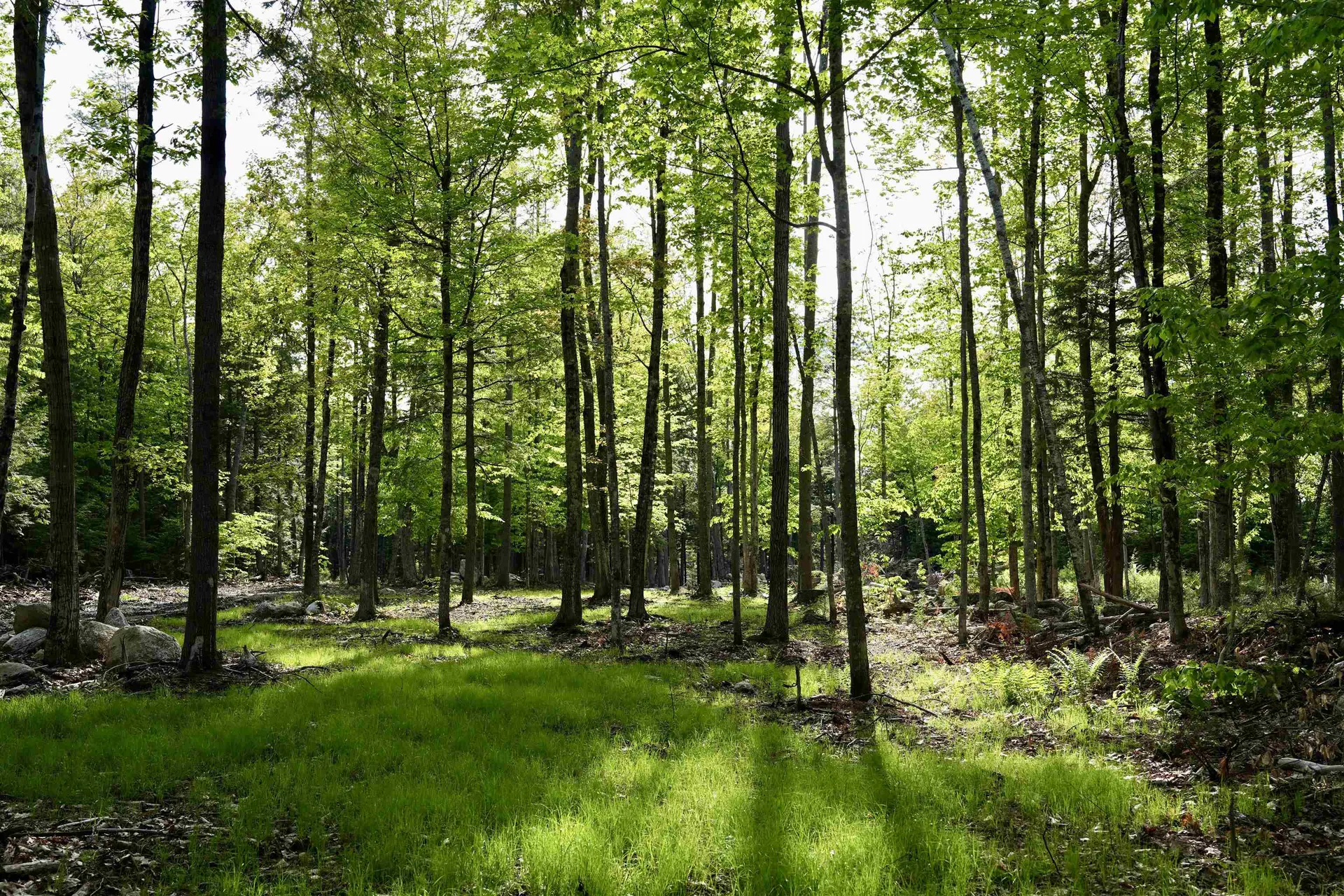 555 Shaker Road Sutton NH 03260