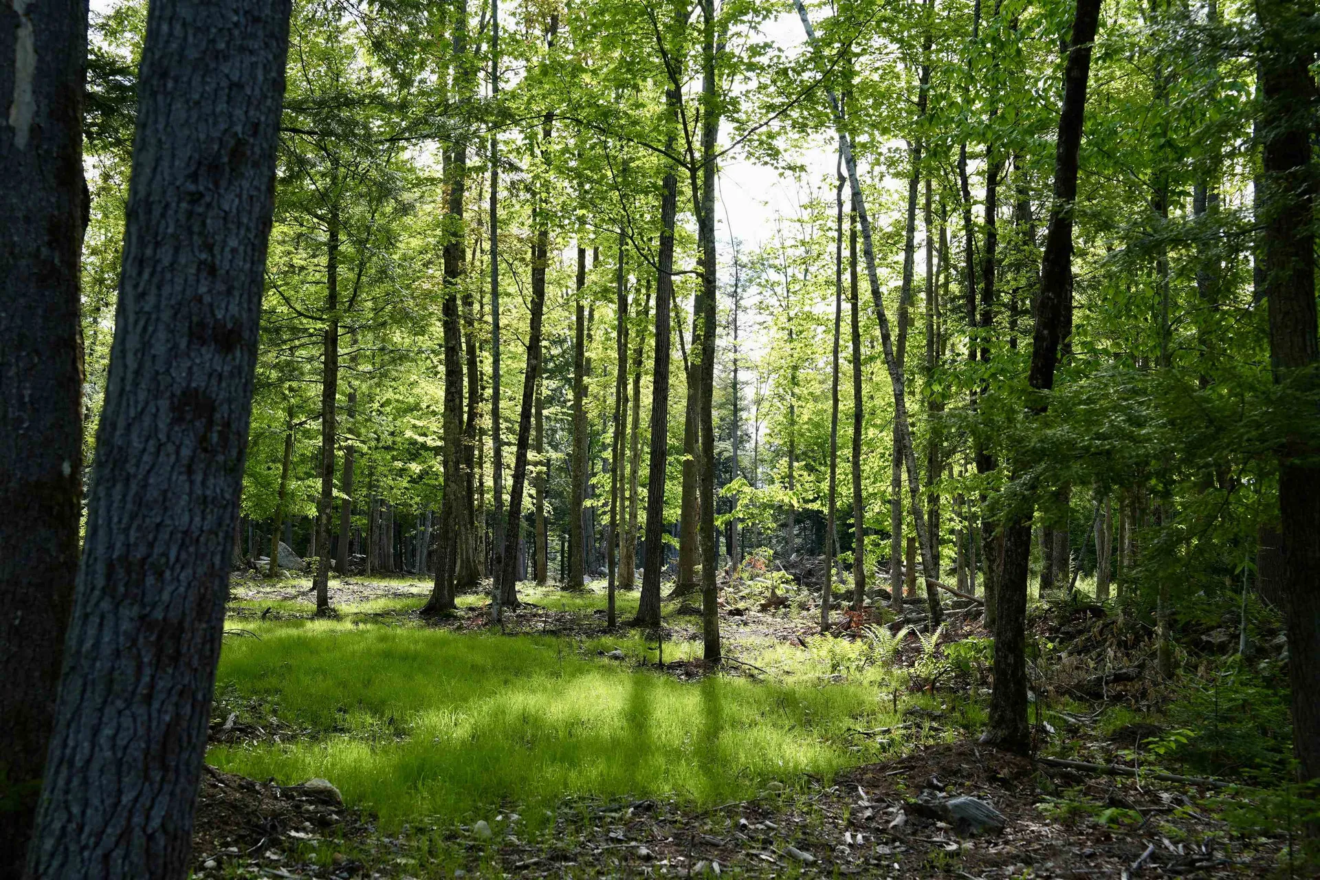 555 Shaker Road Sutton NH 03260