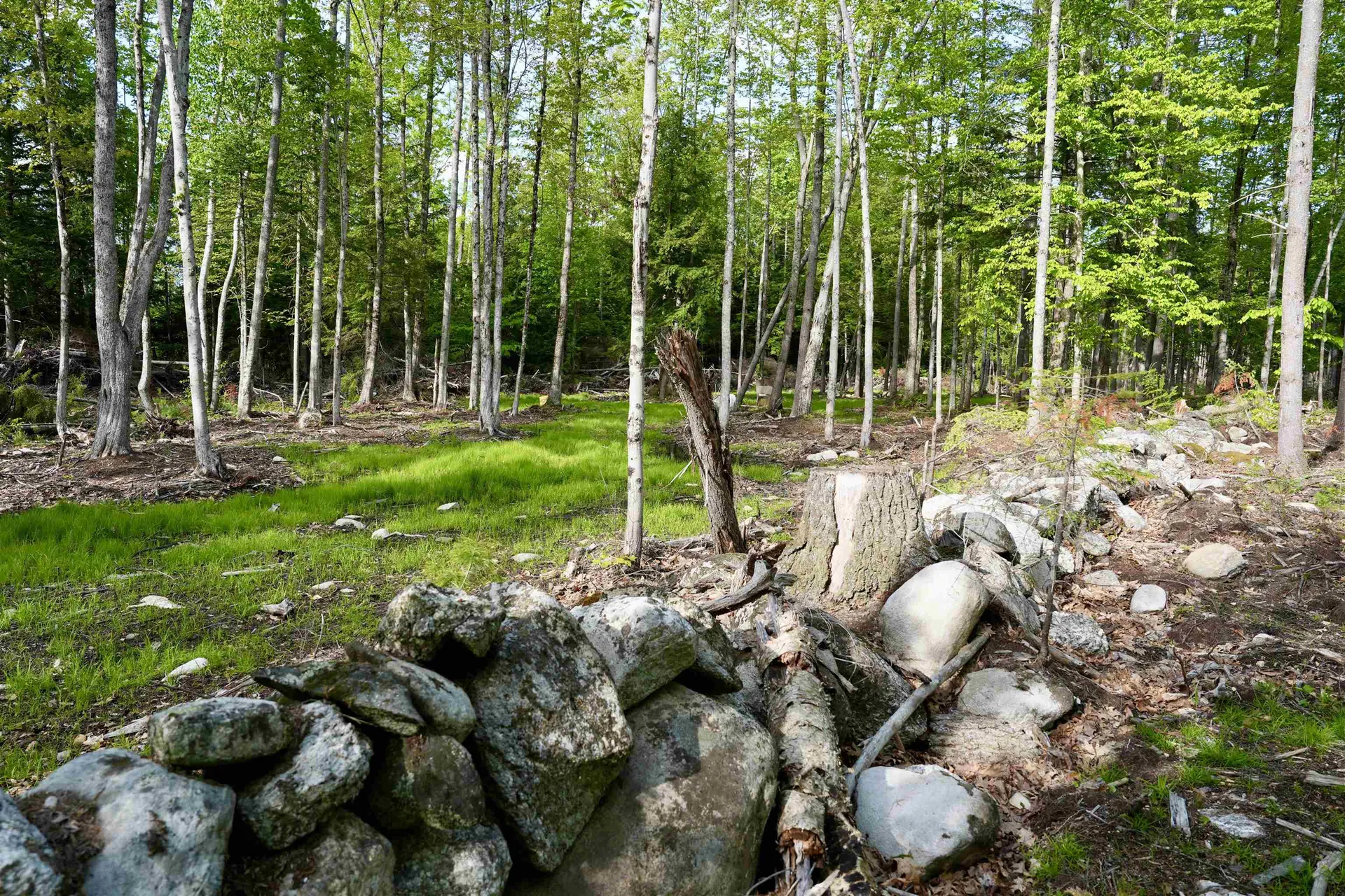 555 Shaker Road Sutton NH 03260