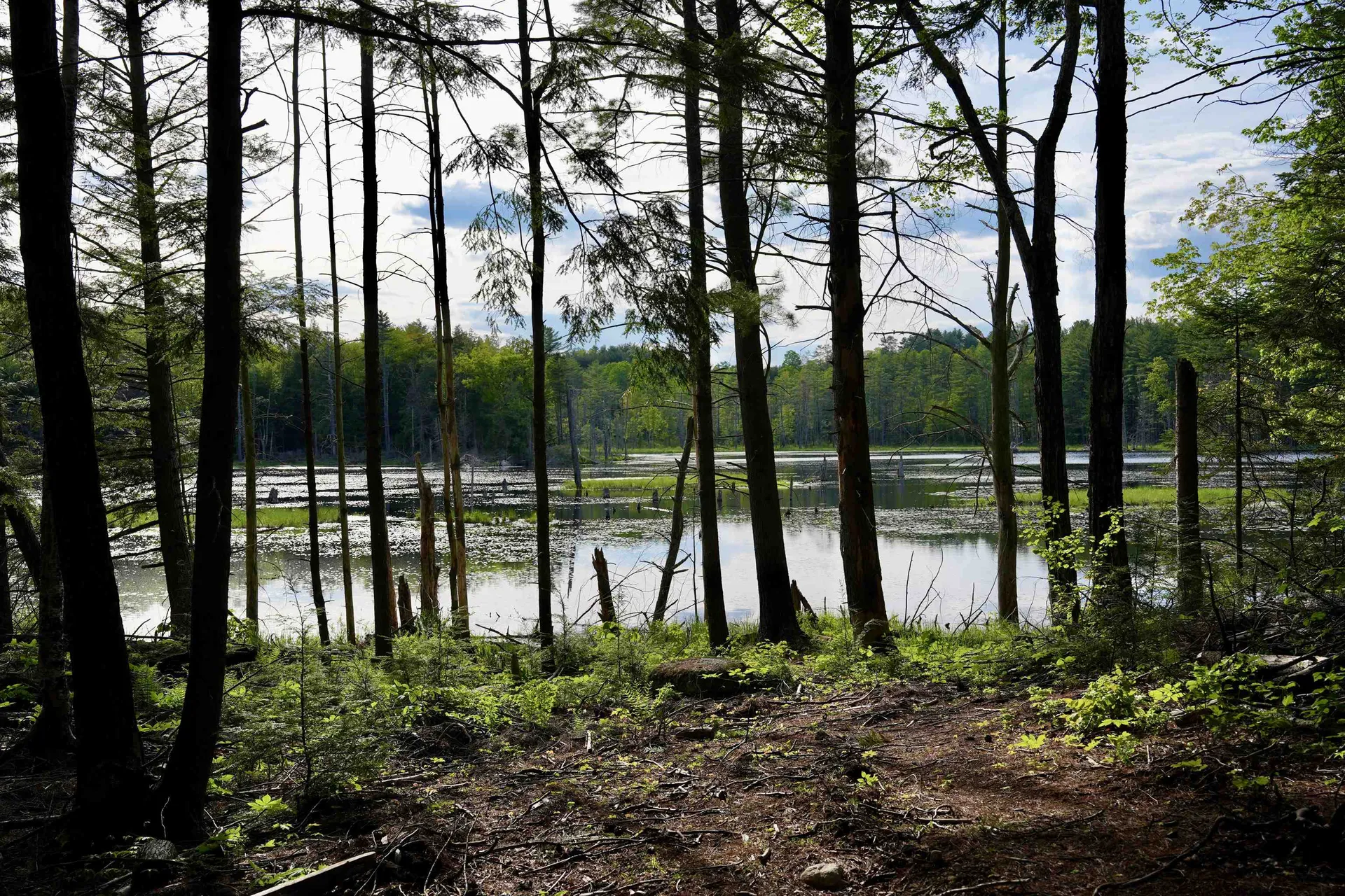 555 Shaker Road Sutton NH 03260