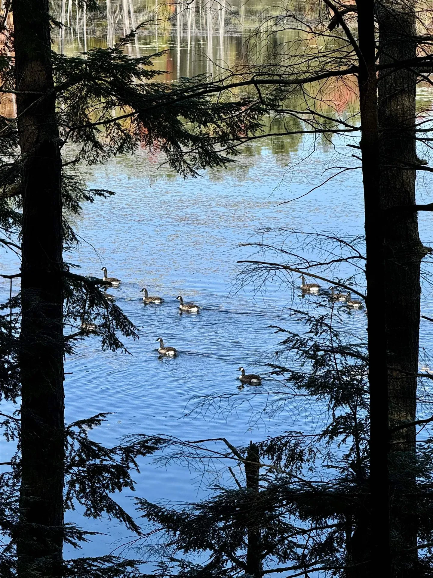 555 Shaker Road Sutton NH 03260