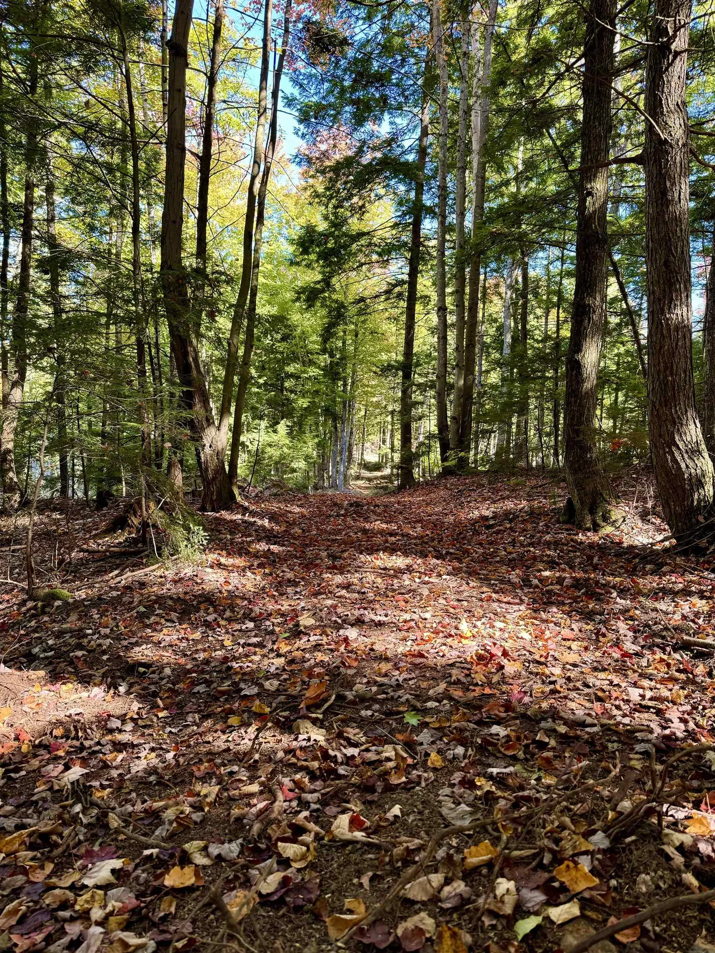 555 Shaker Road Sutton NH 03260