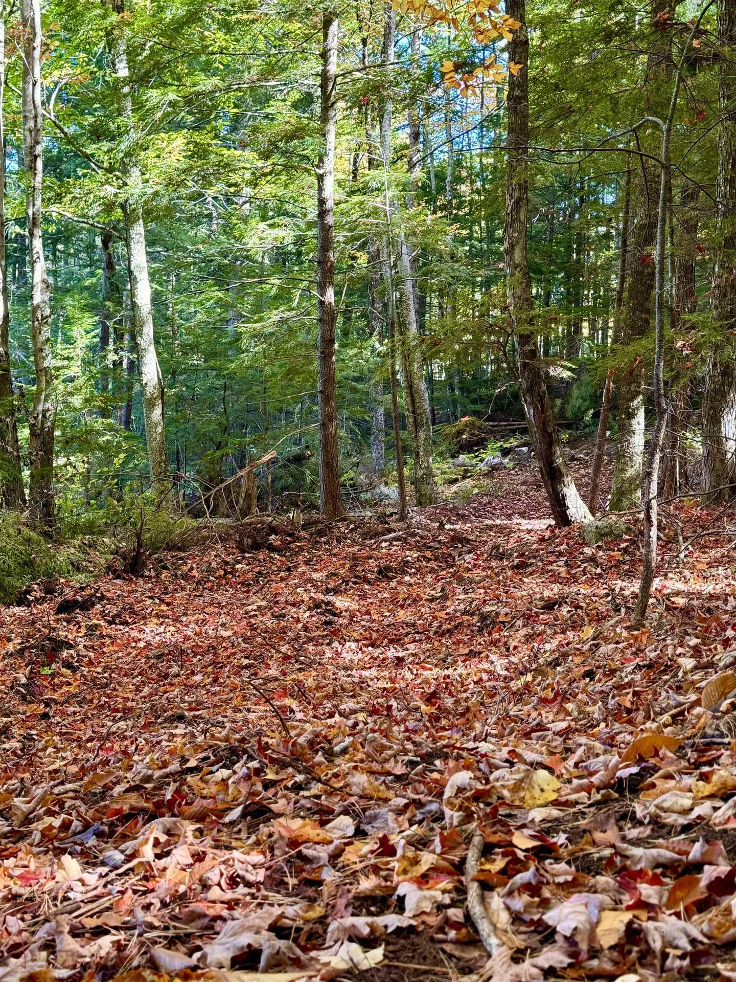 555 Shaker Road Sutton NH 03260