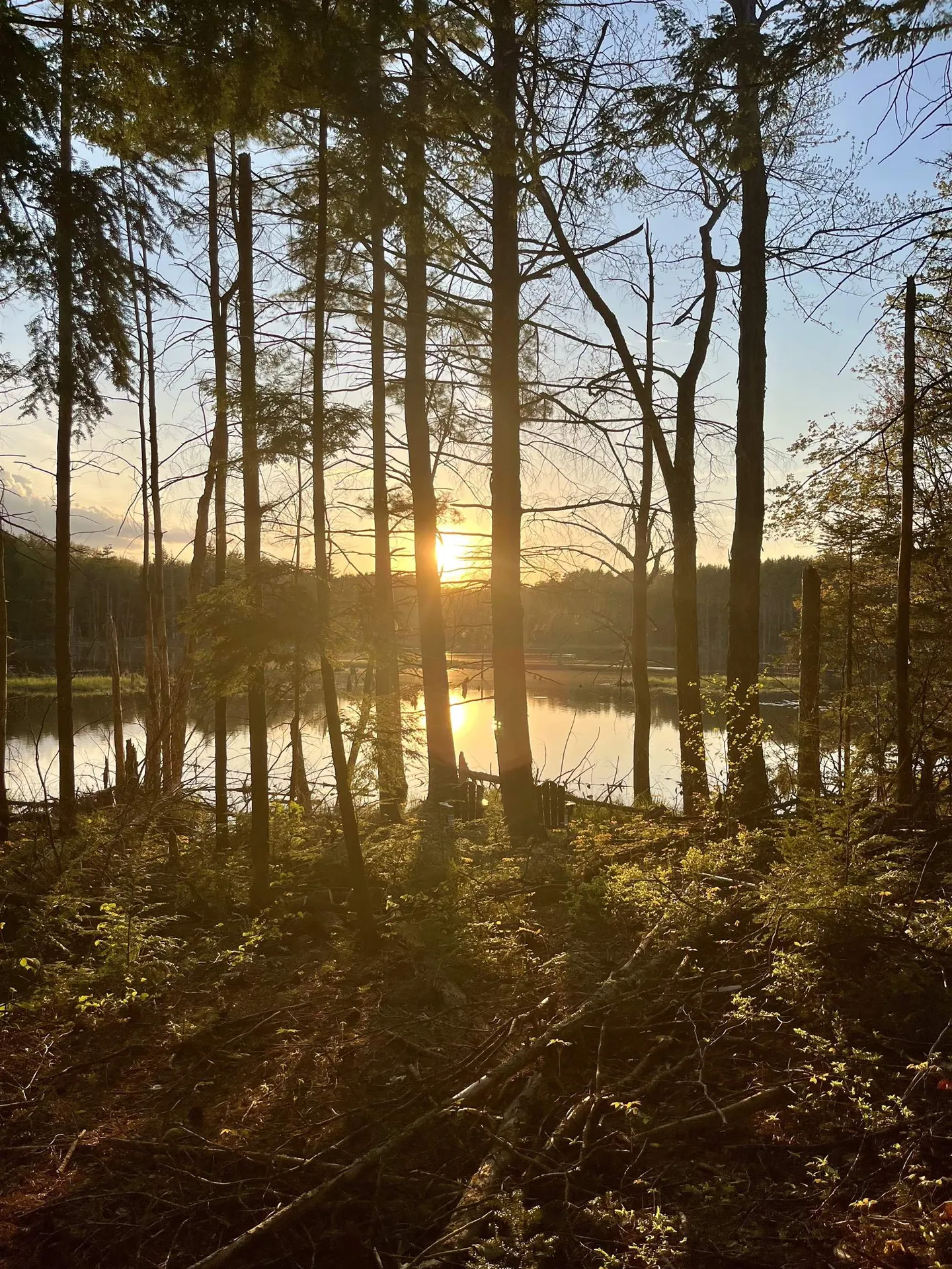 555 Shaker Road Sutton NH 03260