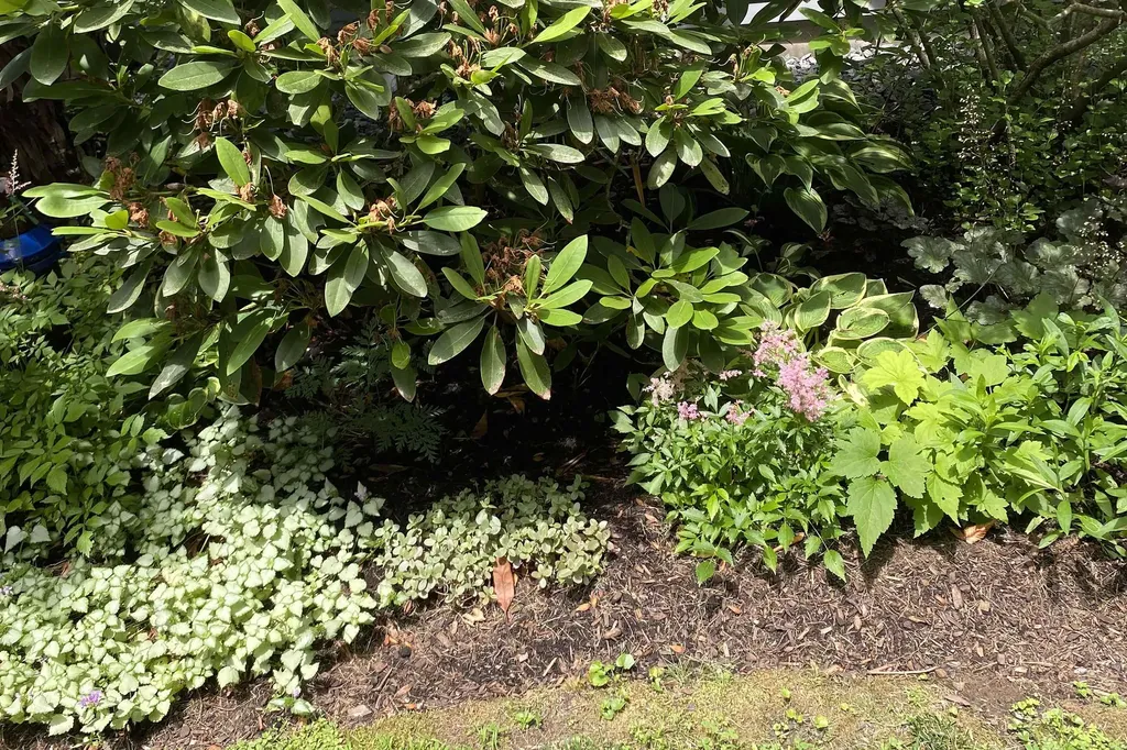 27 Tucker Road New London NH 03257