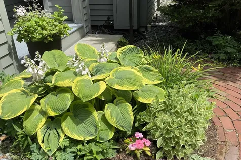 27 Tucker Road New London NH 03257