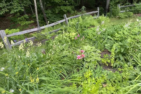 27 Tucker Road New London NH 03257