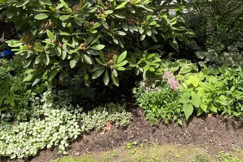 27 Tucker Road New London NH 03257