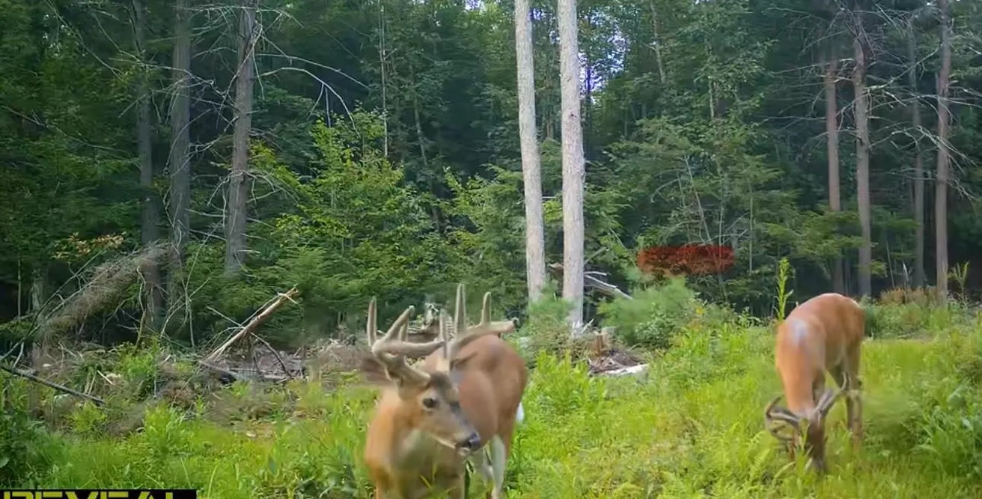 000 Shaker Road Sutton NH 03260