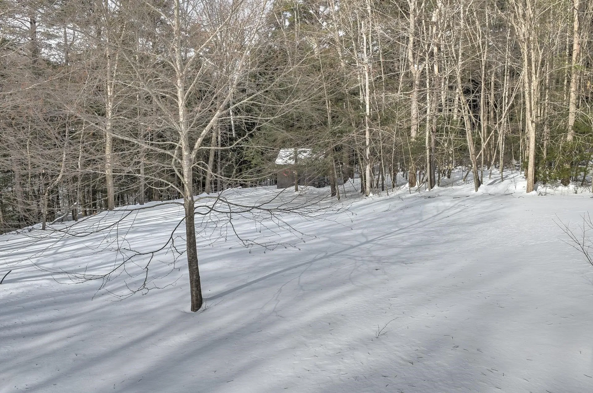 650 Roxbury Road Keene NH 03431