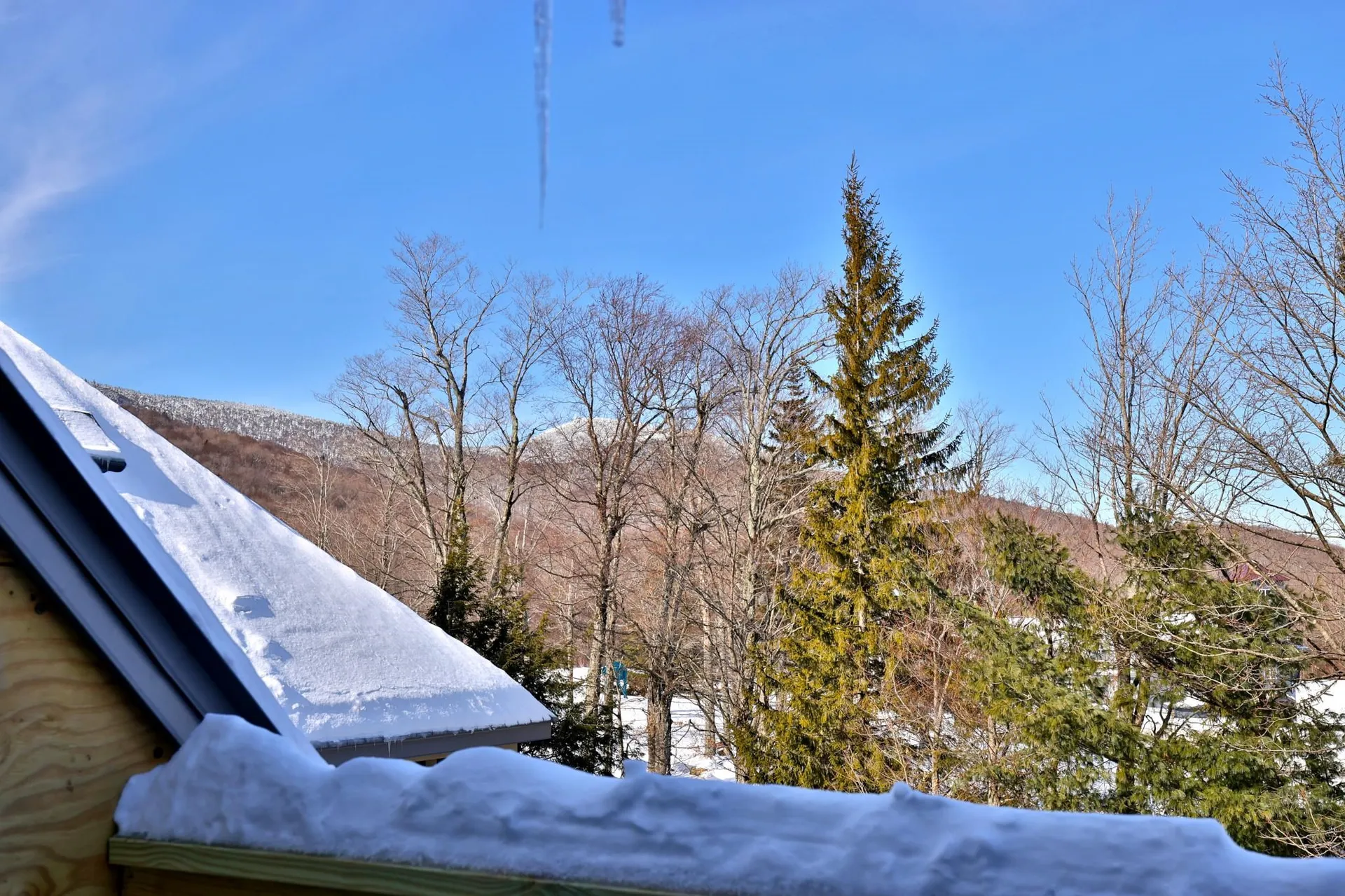 133 East Mountain Road Killington VT 05751