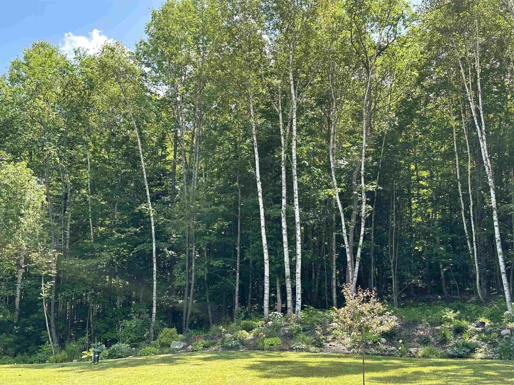 93 Dog Wood Lane Lyndon VT 05851