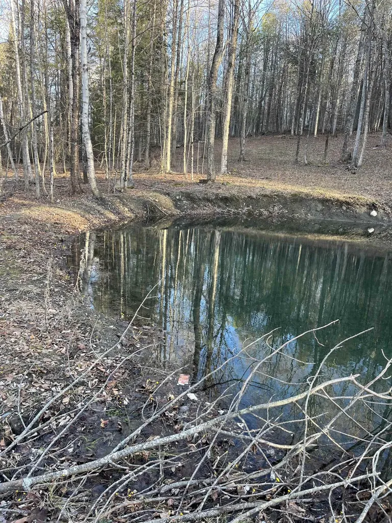 93 Dog Wood Lane Lyndon VT 05851