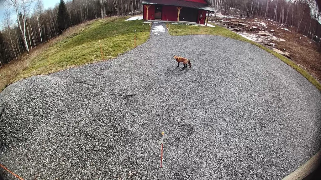 93 Dog Wood Lane Lyndon VT 05851