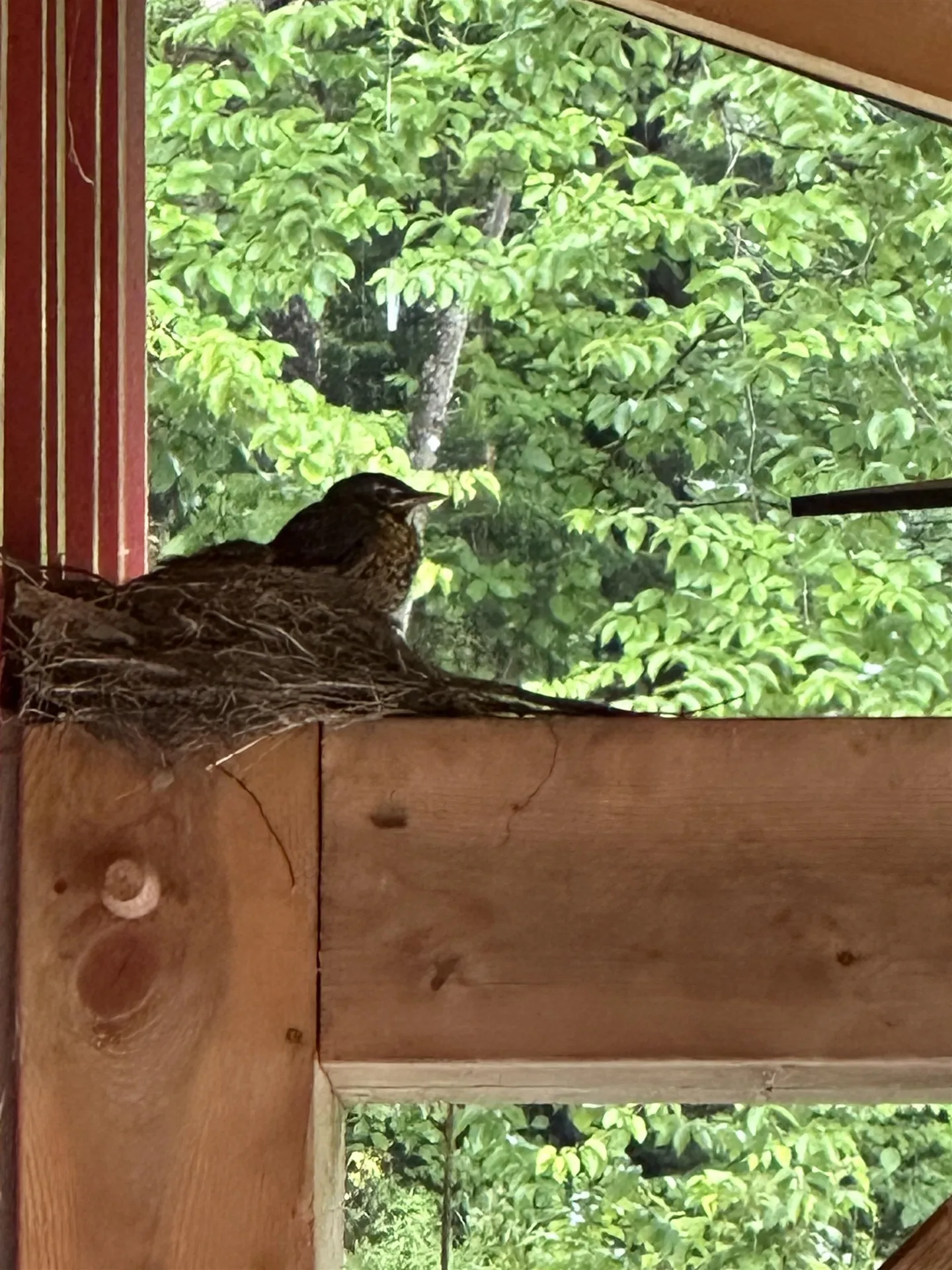 93 Dog Wood Lane Lyndon VT 05851