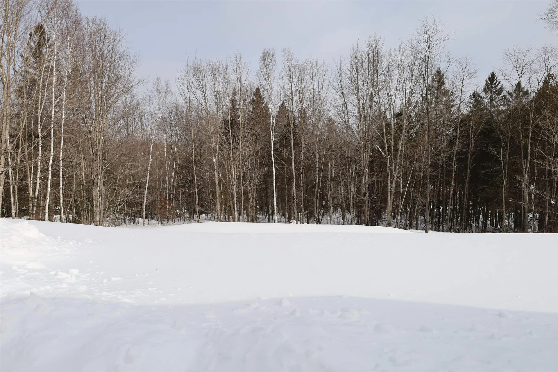 93 Dog Wood Lane Lyndon VT 05851