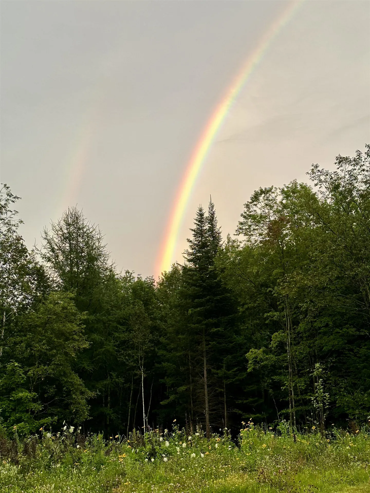 93 Dog Wood Lane Lyndon VT 05851