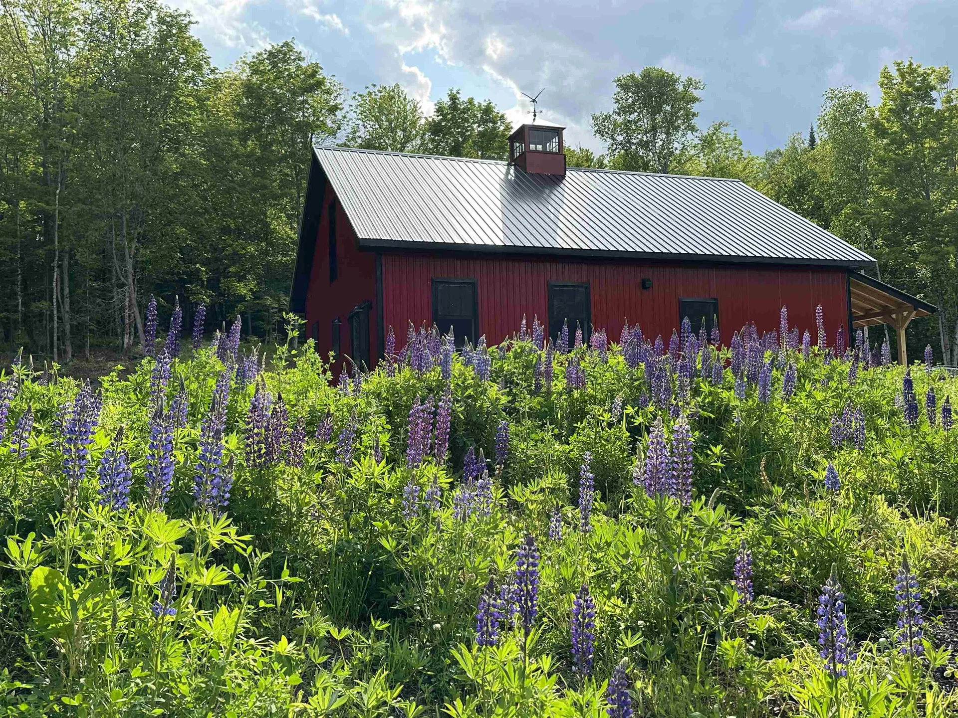 93 Dog Wood Lane Lyndon VT 05851