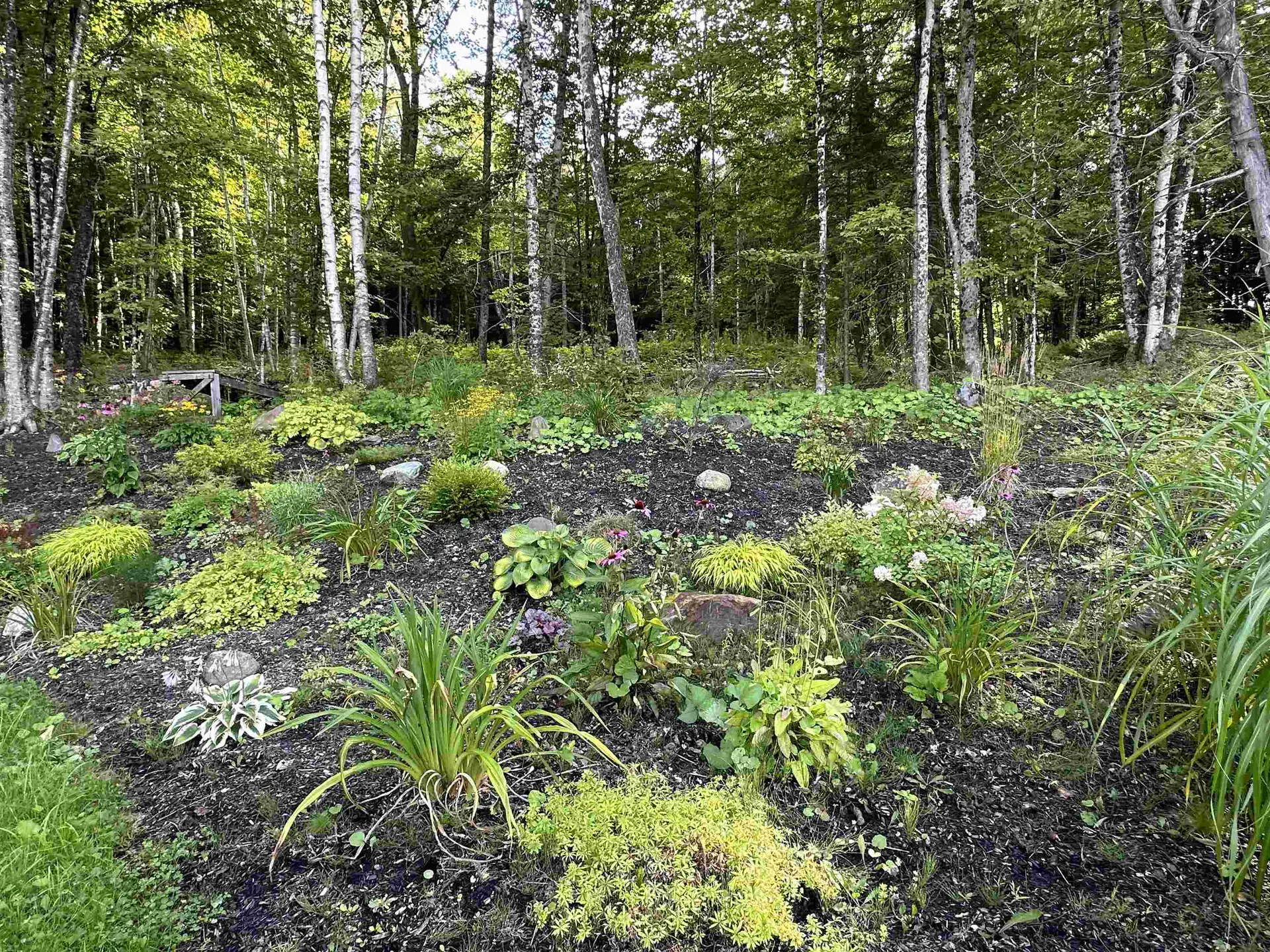 93 Dog Wood Lane Lyndon VT 05851