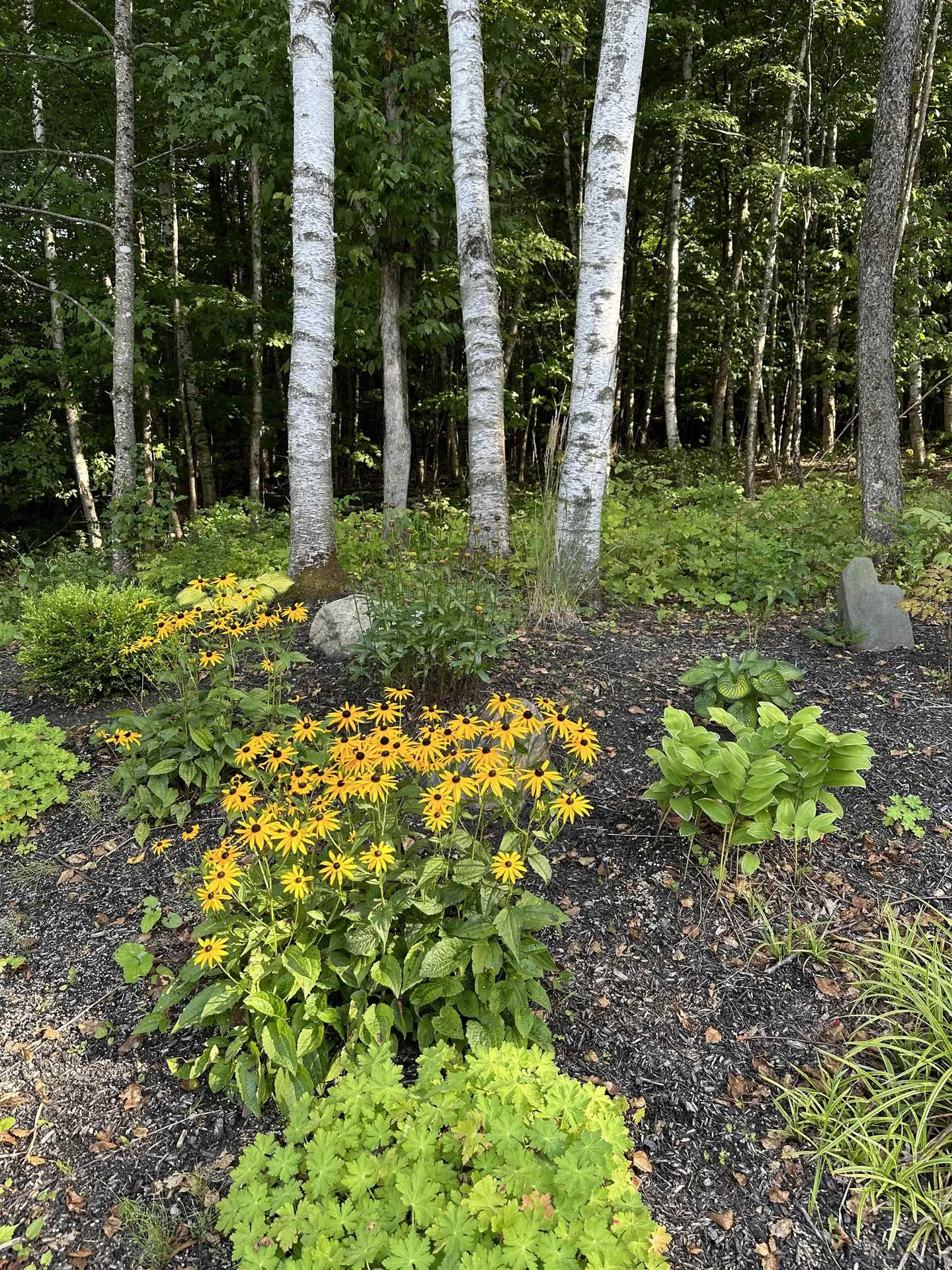 93 Dog Wood Lane Lyndon VT 05851