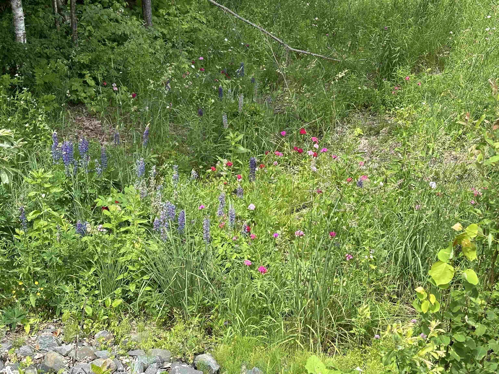 93 Dog Wood Lane Lyndon VT 05851