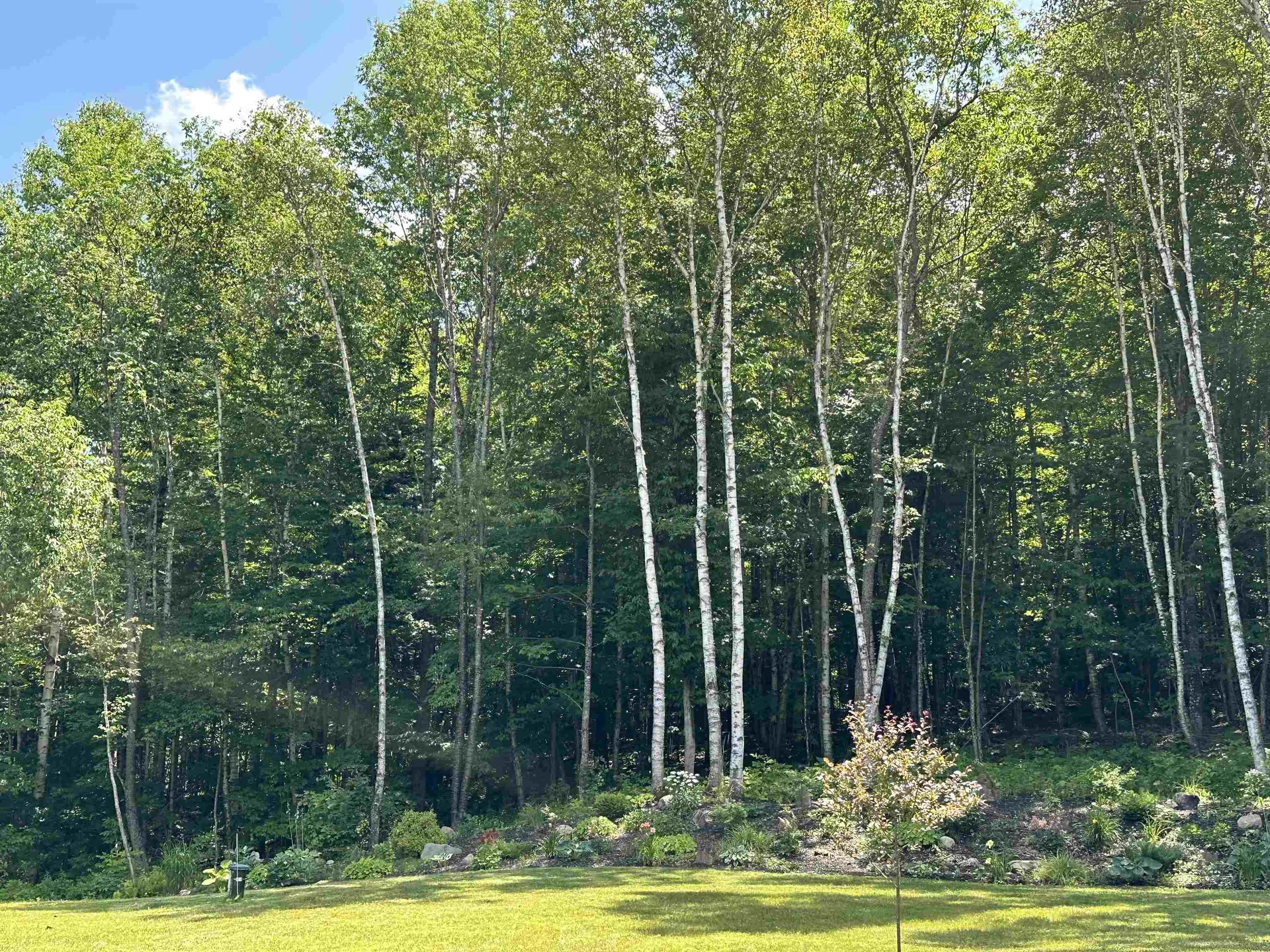 93 Dog Wood Lane Lyndon VT 05851