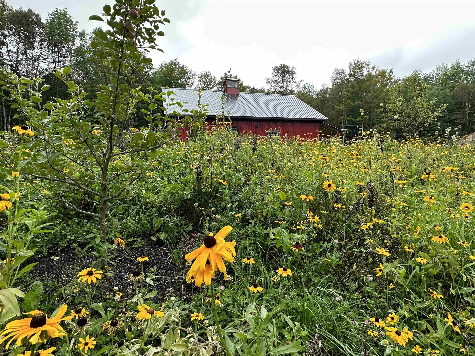 93 Dog Wood Lane Lyndon VT 05851