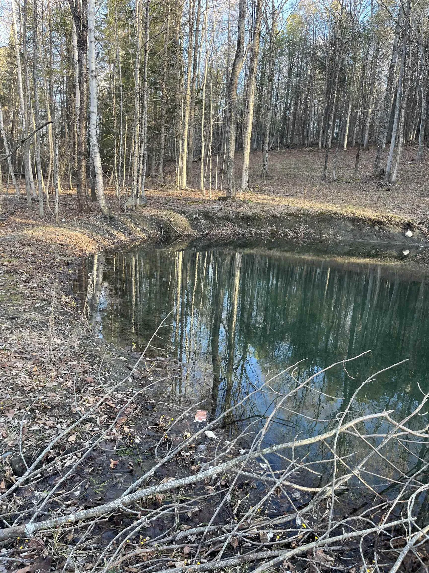 93 Dog Wood Lane Lyndon VT 05851