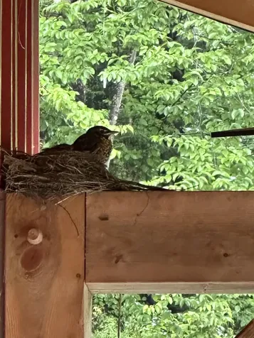 93 Dog Wood Lane Lyndon VT 05851