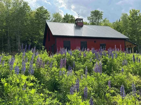 93 Dog Wood Lane Lyndon VT 05851