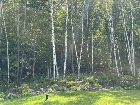 93 Dog Wood Lane Lyndon VT 05851