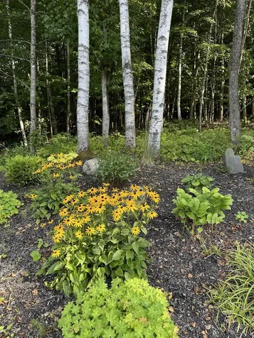 93 Dog Wood Lane Lyndon VT 05851