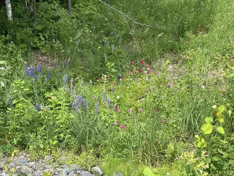 93 Dog Wood Lane Lyndon VT 05851