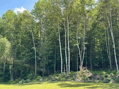 93 Dog Wood Lane Lyndon VT 05851